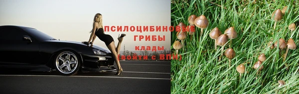 эйфоретик Волосово