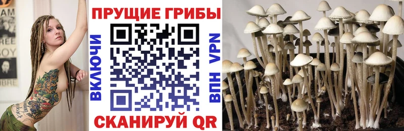 Псилоцибиновые грибы MAGIC MUSHROOMS  Купить  Горнозаводск 